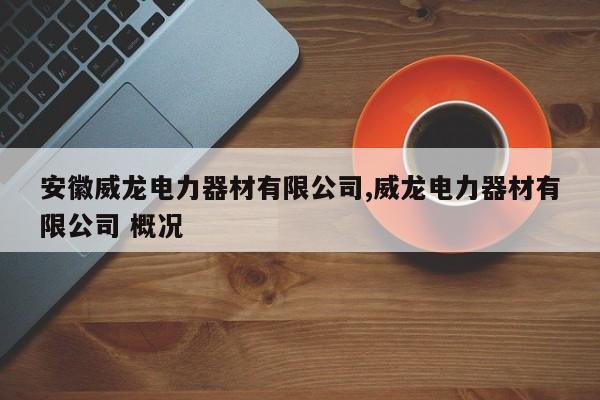 安徽威龙电力器材有限公司,威龙电力器材有限公司 概况